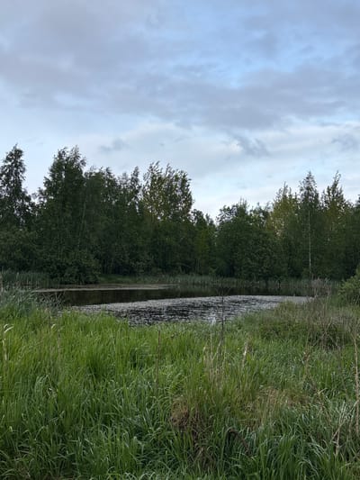 A landscape photograph shows a narrow body of water flanked by trees and tall grass under an overcast sky. The left side of the frame is dominated by the sky filled with gray and white clouds. A line of trees with green foliage runs vertically along the center of the image, their branches reflecting in the water. Dense green grass grows on the right side of the water's edge. The scene appears natural and undisturbed. There is no evidence to suggest this location is in the city of Ulyanovka, Russia.