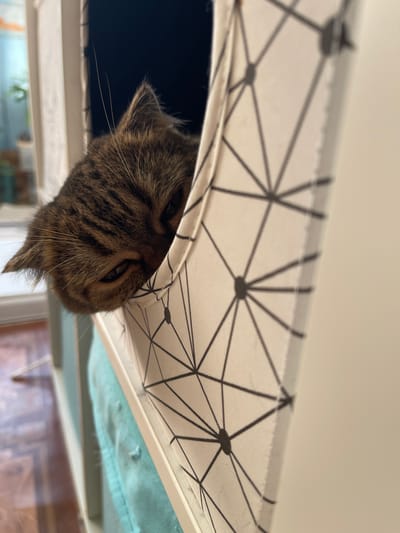 A tabby cat with green eyes is peeking out of a white fabric cube with a black geometric pattern. The cat's head is angled downwards, and its body is mostly hidden within the cube. The background is blurred, showing a light blue blanket and a hint of a tiled floor. The scene appears to be indoors.