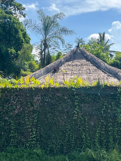 The image shows a building with a thatched roof covered in vegetation in Petulu, Indonesia. A palm tree is visible on the left side of the building. The sky is blue with some clouds. Dense greenery surrounds the building.