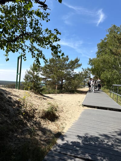 The image depicts a group of people walking on a gray wooden boardwalk that runs alongside a sandy dune area. The boardwalk is elevated and has metal railings on the right side. In the background, there are pine trees and a distant view of a forested area and possibly some buildings. The sky is blue with scattered white clouds. On the left side of the boardwalk, there is a sandy slope with sparse vegetation and shadows cast by trees overhead. A tall, green signpost stands on the sandy dune. The location is identified as Morskoe, Russia.