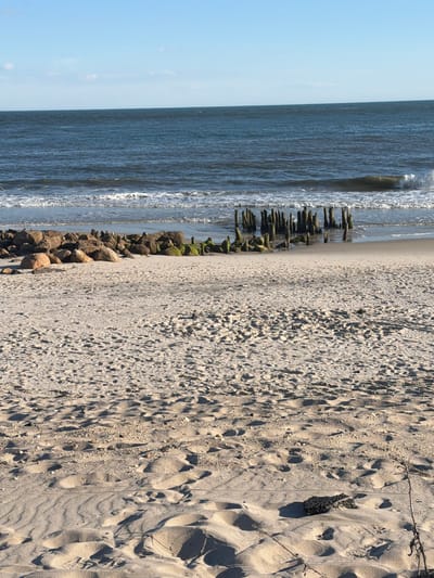 The image depicts a serene beach scene in Hampton Bays, United States of America. The foreground is dominated by a vast expanse of sandy beach, with gentle undulations and scattered pebbles, suggesting the tide has recently receded. A few dry strands of vegetation and a dark, jagged piece of debris are visible on the sand. In the midground, a line of large, rounded stones, some covered in green algae, forms a natural barrier. Behind the stones, a collection of weathered wooden pilings protrude from the sand and water, remnants of a past structure, with some showing signs of decay and encrustation. The ocean stretches to the horizon, its surface a deep blue, with a gentle wave breaking near the shore, creating a line of white foam. The sky above is a clear, bright blue with a few wispy clouds, indicating fair weather. The scene is tranquil and uninhabited, conveying a sense of natural beauty and the passage of time.