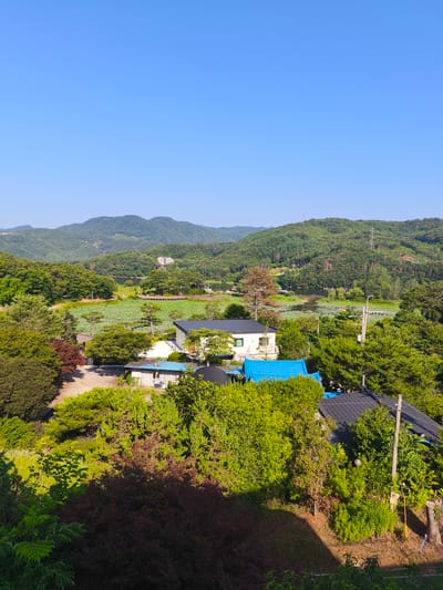 This is an aerial photograph of a rural landscape in Seorak-myeon, South Korea, on a clear, sunny day. The scene is dominated by lush green hills covered in trees and a body of water filled with lily pads. Several houses with dark tiled roofs and one with a bright blue roof are nestled amongst the trees. A wooden boardwalk extends into the lily pad-covered water. In the distance, power lines and towers are visible on the hillsides, and a larger building with a white facade is situated on a distant hill. The foreground is filled with dense green foliage, with shadows cast from the bright sunlight.