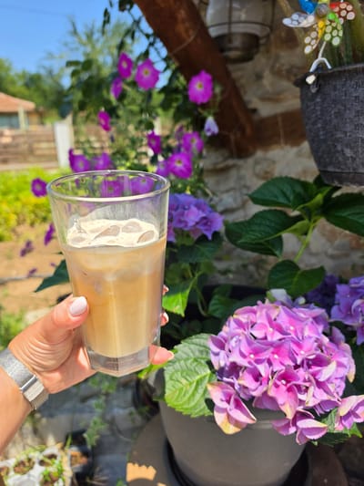 A person's hand, adorned with a silver wristwatch and a light-pink manicure, holds a tall glass of iced coffee outdoors. The beverage is light brown with visible ice cubes. In the background, vibrant purple hydrangeas are in bloom, along with other flowers and lush green foliage. A stone wall and wooden beams form part of the structure behind the plants. The scene appears to be set in a garden or courtyard in the village of Indzhe Voyvoda, Bulgaria. The overall impression is one of a sunny, pleasant day.