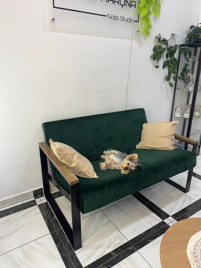 A Yorkshire Terrier lies on its back on a dark green velvet sofa with a light beige pillow beside it. Another light beige pillow is placed at the far left end of the sofa. The sofa has a black metal frame with wooden accents on the arms. The floor is tiled with a marble pattern and black accents. In the background, a white wall displays a sign with black lettering that reads "MARÝNA - Nails Studio". Several green plants are visible, one hanging from the ceiling and others in a black shelving unit displaying glass spheres. The scene appears to be indoors, possibly a salon or waiting area. The image does not provide specific information to confirm a location in Tiachiv, Ukraine.