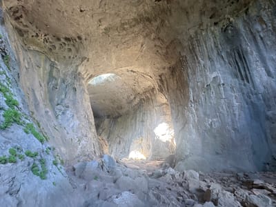 The image shows the interior of a large cave. The cave has a high, arched ceiling with visible rock formations and some areas where light streams in from above, creating natural openings. The walls of the cave are rough and textured, with vertical striations in some areas. The floor of the cave is covered with rocks and debris. Green vegetation is visible growing on the left side of the cave entrance. The scene depicts the natural grandeur of the cave, likely a geological formation.
This image is of the Prohodna Cave, also known as the "Eyes of God" cave, located near the village of Karlukovo, Bulgaria.