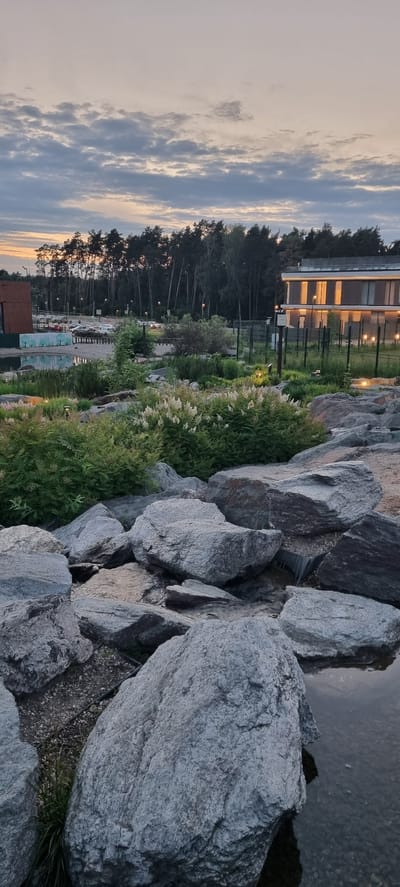 The image depicts an outdoor scene at dusk, likely in Shulgino, Russia. The foreground is dominated by large, grey, rough-textured rocks, some of which are partially submerged in shallow water. Behind the rocks, a densely planted area of green shrubs and lighter-colored flowering plants is visible. Beyond this, a body of water, possibly a pond or canal, reflects the sky. In the middle ground, there is a parking lot with several cars. Further back, a dense line of tall trees, primarily pine and birch, forms a natural boundary. To the right, a modern building with multiple levels is illuminated from within, with lights visible through the windows. The sky above is a muted mix of grey, blue, and pale orange hues, indicating either twilight or sunrise. The overall impression is a landscaped area bordering a natural forest, with a contemporary structure nearby.
