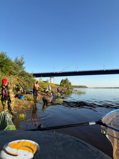 A wide shot captures a serene fishing scene along the bank of a river, presumably in Tarasovo, Russia, on a clear, sunny day with a brilliant blue sky. A large bridge with blue railings and concrete supports spans the horizon, connecting the distant shore. Several individuals are actively engaged in fishing along the riverbank, casting lines and waiting for catches. One fisherman in camouflage attire stands in the foreground, his fishing rod held in his hand, while others are seated or standing nearby, accompanied by their fishing gear, buckets, and nets. The water is calm, reflecting the clear sky and the lush greenery on the opposite bank. The overall atmosphere is one of peaceful recreation and immersion in nature.