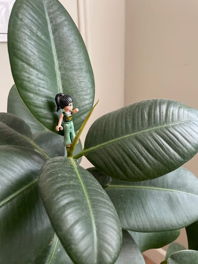 A small, plastic figurine of a person is positioned on a large, dark green rubber plant leaf. The figurine is lying down with its arms extended to its sides, and it has black hair and is wearing a green outfit with some decorative yellow markings. The rubber plant has several large, waxy leaves, and the figurine is resting on one that is spread open. The background is a plain, light-colored wall, suggesting an indoor setting. The lighting appears to be natural, possibly from a window, and there are no indications of weather conditions. The scene is static, with the figurine simply placed on the leaf, implying a staged or playful arrangement. There is no visible text in the image. The overall mood is calm and perhaps whimsical due to the miniature figure on the plant.