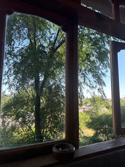 The image shows a view through a wooden-framed window looking out onto a leafy green tree and a rural landscape in Basarabeasca, Moldova. The tree's branches and leaves fill much of the frame, with the bright blue sky visible in between. In the distance, there are houses with red roofs, surrounded by more greenery, suggesting a residential area. A windowsill in the foreground has a small, round wooden ashtray with a cigarette butt in it. The overall scene depicts a peaceful, natural setting viewed from indoors.