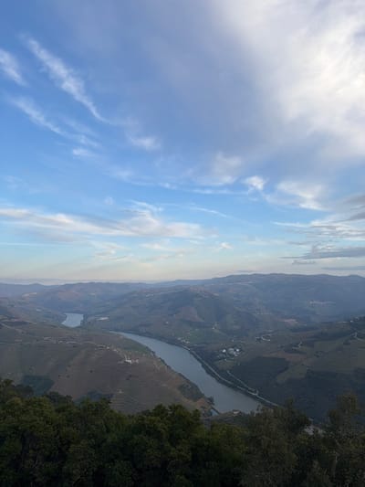 An elevated panoramic view captures the Douro River valley, situated near Peso da Régua, Portugal. The upper two-thirds of the image display a pale blue sky with scattered white cirrus and altocumulus clouds. The prominent Douro River, appearing dark grey-blue, flows through the center of the frame, winding past terraced hillsides indicative of vineyards. A dam or bridge structure is visible spanning the river in the mid-ground. The undulating landscape consists of extensive green and brown cultivated slopes, interspersed with winding roads and small settlements. The foreground is partially obscured by the dark green canopies of trees. No individuals or specific actions are discernible within the frame.