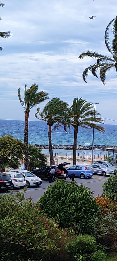 The image presents a scene on the Italian Riviera, specifically in Sanremo, Italy, overlooking the Mediterranean Sea. Three palm trees are prominently visible, their fronds swayed by a breeze. The sea is a medium blue with visible wave action near a beach. On the beach are blue and white posts that appear to be a barricade and a cabana.

In the foreground, there are several parked cars and people are seen around a car with its trunk open, engaged in loading or unloading items. Surrounding the parking area is lush vegetation, composed of various bushes and plants. The sky is overcast with some patches of blue visible.