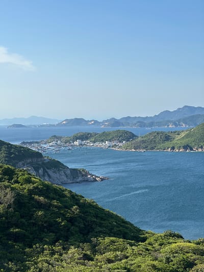 This is a landscape photograph taken from a high vantage point, looking out over a bay with several islands and a distant coastline. The foreground is dominated by a lush, green, tree-covered cliff face on the right side of the frame. The cliff slopes down towards the water.
The bay is a deep blue, with the surface of the water showing gentle ripples and some faint, white boat wakes. Scattered across the water are numerous small boats, and a larger ship is visible in the middle distance.
Along the coast of a nearby island, a cluster of white buildings forms a small town or village. This settlement is nestled against the green hills. Further in the distance, a series of mountainous islands are visible, receding in layers towards a hazy horizon. A long, thin bridge can be seen spanning between two of the distant islands.
The sky is a clear, pale blue, with a few wispy clouds near the top left. The lighting suggests it is a sunny day, likely late morning or early afternoon, given the bright illumination and lack of long shadows. The overall mood is serene and picturesque, highlighting the natural beauty of the coastal landscape. The scene appears to be Vĩnh Hải, Vietnam, given the location context. There is no visible text in the image.