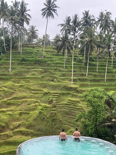 The image depicts an outdoor scene in Tegal Suci, Indonesia, featuring a terraced agricultural landscape and an infinity pool under an overcast sky. In the foreground, two adult males are partially submerged in the light blue water of a curved infinity pool, viewed from behind. Both are wearing dark swim trunks and are positioned with their backs to the camera, facing the terraced hillside. The background is dominated by extensive, vibrant green agricultural terraces, likely rice paddies, ascending a steep slope. Numerous tall palm trees are interspersed among these terraces and along the upper ridges. A patch of dense green foliage is visible on the right side of the midground, below the terraces. Small, scattered white specks, possibly raindrops, are present throughout the frame.