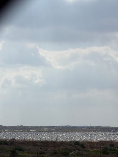 The image depicts an outdoor scene with a vast expanse of sky filled with soft, white clouds. The sky takes up the majority of the frame and is a pale blue, suggesting daylight. On the right side of the image, a landscape unfolds. This landscape features a long, rectangular area covered in what appears to be reflective, shimmering material, arranged in rows. This could be a type of agricultural covering, perhaps for a greenhouse or to protect crops. Beyond this covered area, the ground is visible with patches of green vegetation and some brown, dry earth. There are also some poles or structures present in the landscape, possibly part of a fence or support system. The overall impression is one of a rural or agricultural setting under a bright, cloudy sky. The time of day appears to be daytime, given the brightness of the sky and the visibility of the landscape. There is no visible text in the image.