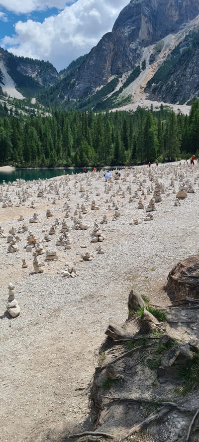 This image captures a scenic view of the Prags Wildsee (Lago di Braies) in Italy, with a focus on the lake's edge and the surrounding natural landscape. The foreground is dominated by a rocky, gravelly shore, dotted with numerous stone cairns, artfully stacked by visitors.

Several people are visible along the shoreline, engaged in various activities. Some appear to be walking or standing by the water, while others might be admiring the view or participating in the tradition of building stone cairns. A few individuals are wearing colorful clothing, standing out against the muted tones of the rocks and water. One person is wearing a blue shirt, another an orange top, and one red.

The lake itself is a striking turquoise green, reflecting the clear sky. To the left of the lake, a dense forest of tall, dark green pine trees stretches up the steep, rocky slopes of the mountains. The mountains themselves are imposing, with visible strata and patches of lighter rock and scree, indicating their geological nature. The sky above is a bright blue with scattered white clouds, suggesting fair weather. The presence of exposed tree roots and rough terrain in the upper right corner hints at a natural, somewhat wild environment.

The time of day appears to be midday, given the bright sunlight and the shadows cast. The overall mood is one of peaceful exploration and appreciation of natural beauty. There is no visible text in the image.