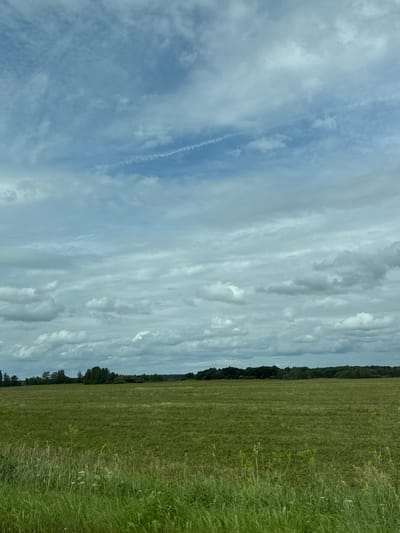 The image depicts a vast, flat landscape under a cloudy sky. A green field occupies the majority of the foreground and middle ground, with tall, green grass and some scattered wildflowers visible in the immediate foreground. In the distance, a dense line of trees forms a dark horizon against the lighter sky. The sky itself is a mosaic of blue and white, with layered clouds creating a textured appearance, and a faint contrail is visible in the upper portion. The scene is devoid of people or any man-made structures, presenting a natural, open environment. The location is identified as Ключи, Russia.