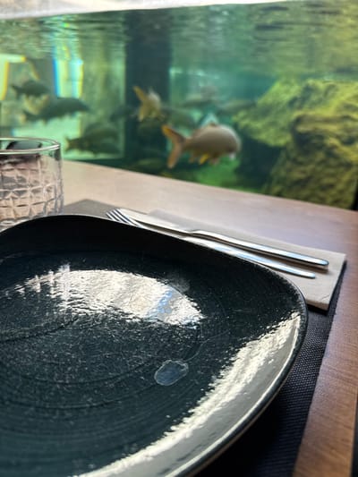 The image displays an indoor scene within the Fluviário de Mora (Mora River Aquarium) in Mora, Portugal. In the foreground, a dark, irregularly shaped ceramic plate with a textured surface and reflective highlights is positioned on a dark placemat. A small, translucent, irregular mark is present on the plate's surface. To the immediate right of the plate, a silver-colored fork and knife rest parallel on a folded beige paper napkin. A clear, patterned drinking glass is partially visible on the left side of the frame, behind the plate. These dining elements are situated on a polished wooden table. The background features a large, illuminated aquarium tank containing clear, greenish water. Numerous fish, appearing to be various species of carp-like fish with predominantly brown or grey bodies and some with yellowish fins, are observed swimming within the tank. Submerged green vegetation or algae-covered rock structures are visible along the right side of the aquarium's interior.