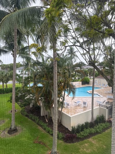 This image shows an aerial view of a swimming pool area at a residential complex, possibly an apartment building or condominium, in Boca Raton, United States. The pool is L-shaped and filled with bright blue water. The deck surrounding the pool is paved with light-colored tiles that appear wet, suggesting recent rain. Several lounge chairs, some with blue cushions, are scattered around the pool area, with a few unoccupied. Adjacent to the pool is a raised white wall with a black metal fence. Green grass surrounds the pool area, with several palm trees of varying sizes framing the scene. In the background, a white building with multiple windows and a grey roof is visible, along with other foliage and trees. The sky is overcast. There are no people visible in the image.