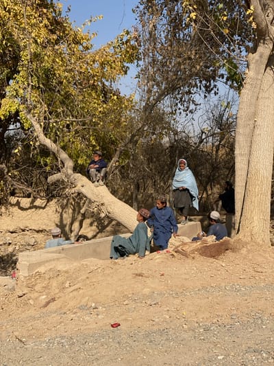 The scene, located in Sard-E 'olya, Afghanistan, depicts seven individuals in an arid outdoor environment under a clear blue sky. The immediate foreground is a gravel and dirt path, where a small red object lies. A large, textured tree trunk stands vertically on the far right, partially visible. Extending diagonally from the mid-left towards the upper right is a lighter-colored, thick tree trunk, appearing to be fallen or prostrate. The ground consists of dry, light brown earth with subtle elevation changes. Centrally positioned is a concrete structure, likely a channel or low wall, partially embedded in the earth. The background features a dense collection of trees with varying foliage, some displaying yellowing leaves while others are sparse or bare.

Of the seven individuals:
1.  A young male, wearing dark blue clothing and a light-colored cap, sits atop the fallen tree trunk, looking towards the right-center.
2.  A young male, in a light green tunic (shalwar kameez) and a patterned cap, sits on the ground to the left of the concrete structure, facing slightly left.
3.  A young male, dressed in a dark blue tunic and a patterned cap, sits on the concrete structure, looking left.
4.  An individual, possibly an adult female, in dark clothing and a light blue head covering (shawl), stands behind the concrete structure, observing towards the right.
5.  A young male, in dark clothing and a light-colored cap, sits on the concrete structure to the right, holding a small object in his hands.
6.  An individual, possibly an adult male with a beard, wearing dark clothing, is partially obscured in shadow on the far right, leaning against a tree trunk.
7.  A person in light blue clothing and a light cap is partially visible in the lower-left, positioned behind the concrete structure.