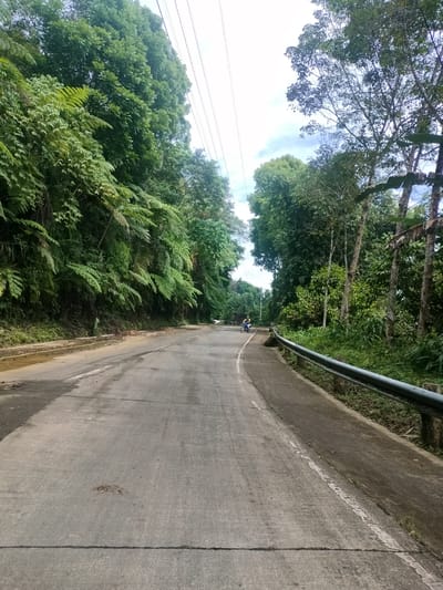 A paved road curves through a lush, tropical environment with dense vegetation lining both sides. The road is a light gray concrete with visible expansion joints and white lane markings that are faded and worn in places. On the left, the embankment is covered in thick, green ferns and other foliage, appearing to be a natural hillside. On the right, a metal guardrail runs along the edge of the road, separating it from a slightly elevated area with more trees and undergrowth. Power lines are visible stretching overhead, supported by poles that are partially obscured by the trees. In the distance, a person on a blue motorcycle is riding away from the camera. The sky is overcast with some patches of blue. The scene suggests a rural or semi-rural road, possibly within or near Kidapawan City, Philippines, given the tropical vegetation.
