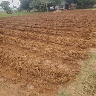 The image shows a freshly plowed field in Toro, Nigeria. The soil is a rich brown color and appears to be wet in places, with visible ruts and clumps from the plowing. In the background, there are buildings, trees, and a utility pole. There are no people or animals visible in the image. The overall impression is one of agricultural preparation, likely for planting crops.