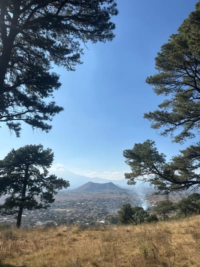 A scene viewed through the branches of trees against a clear blue sky. Below the trees, a landscape unfolds with a distant mountain visible through the haze. A town or settlement sits nestled in the valley, partially obscured by what appears to be smoke. The foreground includes dry, grassy terrain. The image orientation is rotated, with the sky appearing at the center.