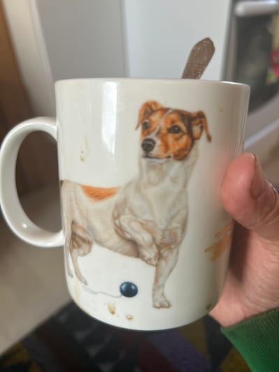 A hand, wearing a green cuff, holds a white ceramic mug. The mug features a painted illustration of a Jack Russell Terrier standing next to a dark blue ball with a thin blue string. The dog is depicted with brown and white markings. A spoon is visible inside the mug, protruding slightly from the top. The mug appears to have some smudges or coffee stains on its surface. The background is blurred and consists of light-colored vertical elements and darker horizontal elements. The image does not provide any information about the location in Mar'ino, Russia.