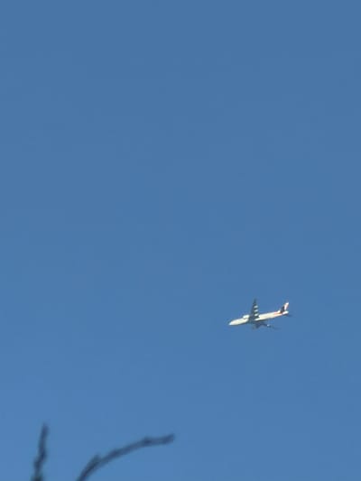 An airplane is seen flying in a clear blue sky. The airplane is white with some red and black markings on its tail. It is angled slightly downwards as if in descent. The lower left portion of the image contains a blurry, dark, branch-like object, likely foliage from a tree. There are no people visible in the image. The scene appears to be an outdoor environment, likely taken in Riverhead, United States of America, given the clear sky and the presence of an airplane.