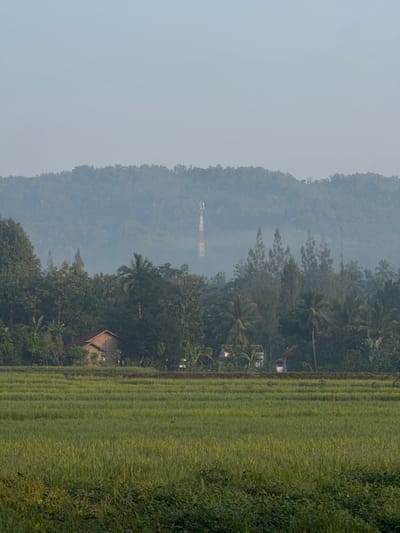 The image depicts a rural landscape in Seliling, Indonesia, characterized by lush green rice paddies in the foreground and a densely forested hillside in the midground. A few houses are partially visible nestled among the trees. In the distance, a tall cell tower stands prominently against a hazy, blue sky that fades into the silhouette of a mountain range. The overall atmosphere is tranquil and serene, indicative of a morning or early evening setting due to the soft light and gentle mist. The scene is devoid of human presence, focusing solely on the natural environment and the man-made structures that integrate with it.