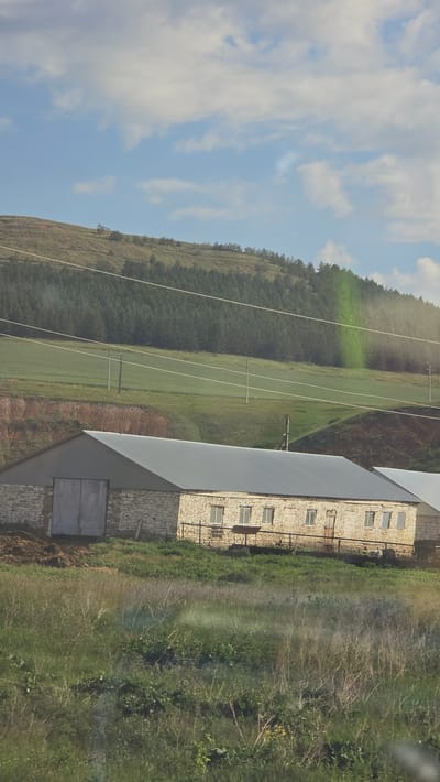 The image shows a long, light-colored stone building with a metal roof. The building has a large set of double doors on the left side and several windows along the right side. In front of the building, there is a grassy area with some sparse vegetation. In the background, there is a gently sloping hill covered with trees, and further up the hill, there is a patch of green field with power lines and poles. The sky is blue with some scattered white clouds. The overall scene suggests a rural or agricultural setting, possibly a farm or a storage facility.