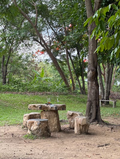 The image depicts an outdoor scene in Ban Huai Sai, Thailand. A dirt path runs along the right side of the frame. Beside the path is a stone picnic table with benches. The table consists of a stone slab supported by stone blocks. Trees line the left side of the frame, and one tree runs perpendicular to the dirt path. The trees have green leaves and red flowers. Beyond the trees, there is a view of green vegetation. A stick-like object is visible in the grass. The image is taken during daylight hours.