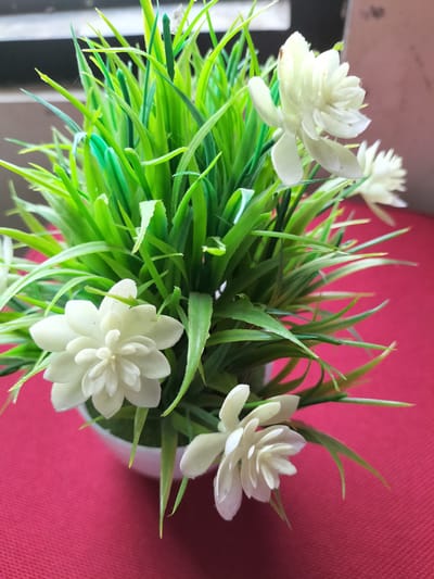 A close-up, eye-level shot captures a small, artificial potted plant with bright green, grass-like leaves and several white, star-shaped flowers. The plant is situated in a white pot, which is placed on a textured, deep pink surface. The background is softly blurred, showing hints of a dark horizontal line above and a mottled brown surface to the right. The lighting appears to be natural, casting subtle shadows. The scene is static and devoid of any human presence or activity. There is no discernible information in the image to suggest a location in Cotgadong, Indonesia.