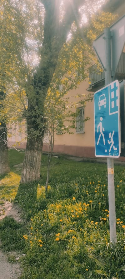 A street view in Fryazino, Russia, shows a blue and white pedestrian and vehicle sign mounted on a gray metal pole. Behind the pole, a peach-colored building with a white-framed window is visible. A large tree with yellow foliage dominates the foreground, casting light and shadows across the scene. To the right of the sign, a patch of green grass with numerous yellow dandelions extends towards the bottom of the image, alongside a dirt or gravel path.
