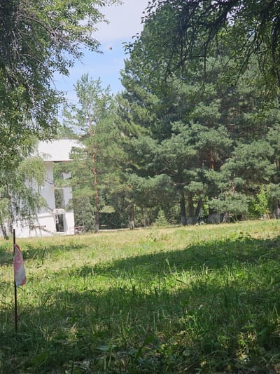The image depicts an outdoor scene in Chong-Aryk, Kyrgyzstan, featuring an unfinished white building situated amidst lush greenery and tall pine trees. In the foreground, a wooden stake with a red and white striped flag is planted in the grassy terrain. The building, partially visible behind foliage, appears to be a multi-story structure with open window and door frames, suggesting construction or demolition. The surrounding environment is characterized by a dense forest of pine trees and a well-lit grassy field, with sunlight casting shadows across the ground. The sky is partly cloudy, indicating fair weather. There are no people visible in the image.