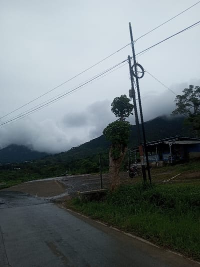 The image depicts a mountain landscape in Babaliya Mal., India, under a heavily overcast, grey sky with low-hanging clouds obscuring the upper reaches of the hills. A dark, damp asphalt road occupies the foreground, curving from the lower left towards the center. To the immediate right of the road is a strip of green grass and a low, grey stone retaining wall. A prominent tree trunk, from which fresh green foliage sprouts near its apex, stands in the mid-right. Adjacent to the tree is a dark utility pole, carrying multiple overhead power lines and a spool of black cable. Behind the pole and tree, a single-story building with a light blue exterior, a dark roof, and a covered front porch is visible. A dark-colored motorcycle with some red accents is parked in front of the building. Lush green hills, partially obscured by the clouds, form the background. No individuals are present in the scene.