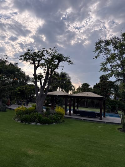 The image shows a backyard scene, likely in a residential area. A dark wooden pergola sits near a swimming pool, surrounded by lush green grass. A mature tree with a thick trunk and sparse foliage stands prominently in the foreground. Other trees and varied vegetation surround the yard. Above, the sky is filled with textured clouds. The image gives no specific indicators to verify it is in Santa Ana Yancuitlalpan (Chilhuacán), Mexico. There is no presence of people detected.