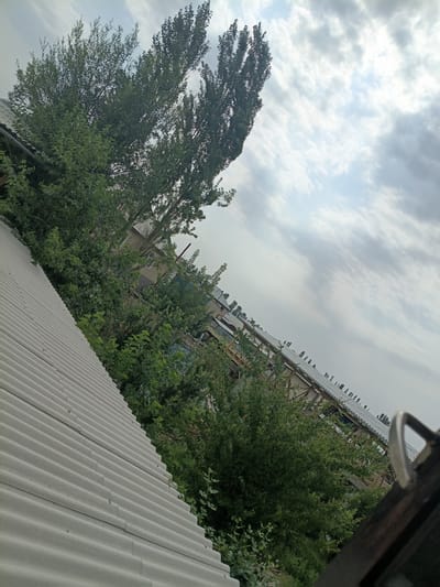 The image depicts an outdoor scene under a cloudy sky, with a strong diagonal composition. The foreground is dominated by a light gray, corrugated roof, which extends upwards into the frame. Behind the roof, a dense expanse of green foliage, likely trees and bushes, fills the midground. Several buildings with peaked roofs are visible interspersed with the vegetation, suggesting a residential or industrial area. In the far background, more buildings are seen, some with visible construction elements. The image is tilted, giving a dynamic perspective to the scene.
A prominent object in the top right corner is a dark, possibly wooden, frame with a metallic handle, suggesting the view is from within or through an opening, like a window or door. The lighting indicates it is daytime, but the overcast sky suggests a diffused light, possibly late afternoon or early morning. There is no visible text in the image. The overall impression is one of an ordinary, somewhat unkempt, outdoor environment. The location context suggests this scene is in Uchkun, Kyrgyzstan.