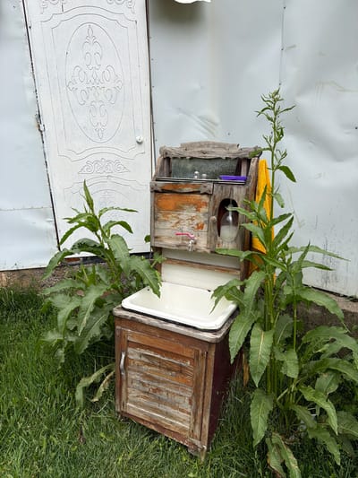 An outdoor washstand is positioned on grass next to a white door with ornate carvings and a corrugated metal wall. The washstand is made of weathered wood and has a white enamel sink. Above the sink, there is a wooden cabinet with a glass panel and a dispenser for liquid soap. A yellow towel hangs on the right side of the washstand, and tall green plants with broad leaves grow on either side. The scene appears to be in a rural or utilitarian outdoor setting.