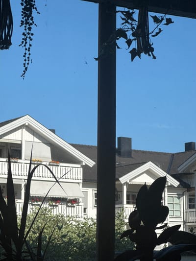 The image depicts a reflection of a house and vegetation on a window. The house appears to be a white, multi-story structure with a dark roof. It features white balconies with slatted railings and visible windows. Some balconies have potted plants with red and orange flowers. Green foliage is also visible, partially obscuring the house in some areas.

In the foreground, silhouetted against the bright blue sky and the reflected house, are dark shapes of plants. These appear to be indoor plants or plants close to the window. One plant has large, broad leaves, while another shows a vine with small, round leaves.

The sky is clear and blue, suggesting it is daytime, likely a sunny day. The overall impression is one of a domestic setting, possibly a home with a garden or balcony, viewed through a window. There are a few small, dark specks in the sky, which could be insects or dust. No people are visible in the image. There is no visible text. The location context is Moelv, Norway, but this information is not directly inferable from the image itself.