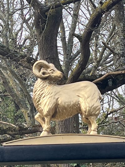 A golden-colored ram statue is centered in the image, depicted facing right with its left front leg slightly raised. The statue exhibits detailed fleece texture and prominent, curled horns. It is mounted on a dark, flat horizontal structure with a thin golden upper edge, functioning as a finial or decorative element. The background consists of a dense network of leafless deciduous tree branches and trunks, indicating a late autumn or winter environment. Portions of a bright, overcast sky are visible through the skeletal branches. No individuals or active interactions are present. This statue is located in Hersham, within the Borough of Elmbridge, United Kingdom, historically associated with the former Ram Brewery site.