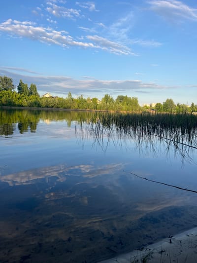 This landscape image captures a serene waterscape, likely a river or lake, under a bright blue sky, set in Vasilievo, Russia. The scene is dominated by the sky, the water, and a distant treeline, creating a tranquil and reflective composition.
The upper portion of the image displays a clear, light blue sky adorned with scattered, wispy white and light grey clouds that stretch horizontally. The lower half features the calm surface of the water, which acts as a mirror, beautifully reflecting the sky, clouds, and the lush green treeline from the opposite bank.
Along the mid-ground, a dense line of green trees marks the far bank, with several light-colored houses with darker roofs peeking out above and between the foliage, suggesting a residential area beyond the natural buffer. Tall, dark reeds and grasses fringe this distant shoreline, their delicate, elongated reflections extending into the water.
In the immediate foreground, particularly on the right side, the water is shallow and clear enough to reveal a light-colored, possibly sandy or silty bottom with darker, irregular patches, which could be submerged vegetation or shadows. A thin, dark stick or branch floats on the water's surface in the mid-right.
The soft, even lighting suggests either early morning or late afternoon, contributing to the peaceful and calm atmosphere. There are no people or visible text in the image. The overall impression is one of natural beauty and quietude.