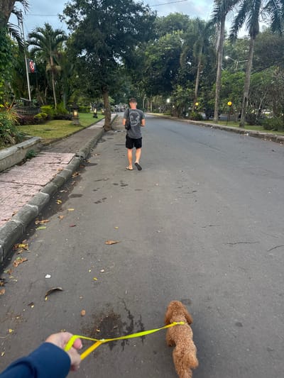 A person wearing a dark t-shirt with graphics and black shorts walks down a paved road in Dawan, Indonesia, holding a yellow leash attached to a small, fluffy brown dog. The dog is walking ahead of the person on the leash. The road is flanked by a sidewalk with a concrete curb and tiled sections. Lush green trees and palm trees line the left side of the road, with some illuminated lamps visible along the sidewalk. The sky is overcast, suggesting it is either early morning or late afternoon. The environment appears to be a tropical or subtropical area, with abundant vegetation.