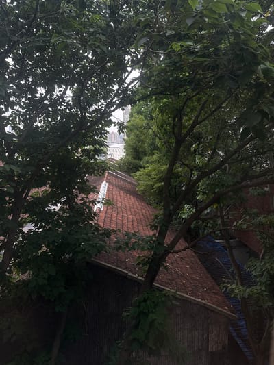 The image shows a view looking out over rooftops in Yangpu District, China, framed by dense green foliage from trees in the foreground. The primary focus is on a terracotta tiled roof that dominates the middle ground of the image. The roof appears to be on a low-rise building, with a dark, textured wall visible beneath it. To the right of the terracotta roof, a section of a blue tiled roof is visible, suggesting a different structure or extension. In the background, a taller building with a light-colored facade and multiple windows can be seen above the trees, indicating an urban setting. The sky is overcast, contributing to a somewhat muted color palette. The scene is static, with no people or discernible activity. The overall impression is one of a quiet, slightly overgrown urban landscape.