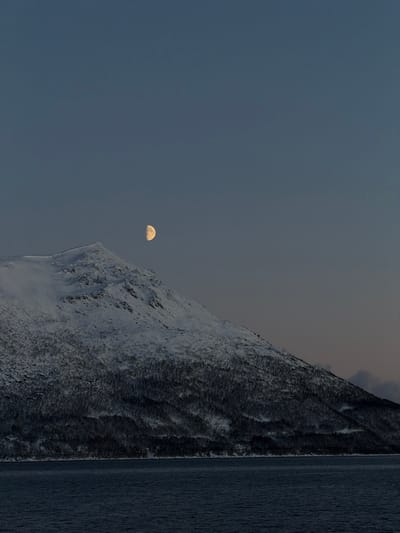 A static, wide-angle landscape photograph depicts a snow-covered mountain towering over a dark body of water under a twilight or nocturnal sky in Grøtnesdalen, Norway. The sky, a gradient of deep blue transitioning to a lighter grey-blue, occupies the upper two-fifths of the frame. A distinctly illuminated, yellow-hued first-quarter moon is positioned in the upper-left quadrant, above the mountain peak. The prominent mountain, extending from the left edge towards the center-right, is heavily covered in white snow on its upper slopes, with visible rock formations. Its lower third is densely forested with dark, snow-dusted coniferous trees that meet the water's edge. The foreground is dominated by a dark, calm body of water, consistent with a fjord, reflecting minimal light and showing subtle surface texture. No human figures, objects of human origin, or discernible actions are present within the scene. The environment is cold and natural, indicative of a high-latitude winter setting.