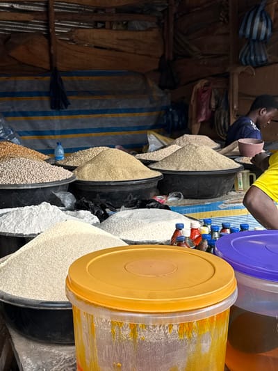 This image depicts an indoor market stall in Ogere, Nigeria. The background consists of corrugated metal sheeting, rough wooden support beams, and a blue and yellow striped tarpaulin. Various bags, including a dark blue striped bag and a red plastic bag, hang from the beams.
The mid-ground is filled with numerous large black plastic basins containing mounded bulk dry goods. These include piles of light-colored pulses (likely beans or peas), light yellow/tan grains (possibly rice or millet), and smaller mounds of similar grains. A small blue plastic water bottle rests on a surface between two mounds of grain.
Two individuals are partially visible. To the left, a male wearing a dark blue shirt with light blue sleeve stripes is seen from the upper chest, looking downwards at a small brown bowl he holds. To the right, only the right shoulder and arm of a person wearing a bright yellow shirt are visible.
In the immediate foreground, a large clear plastic container with an orange-yellow lid shows internal streaks of yellow-orange residue. Adjacent and to its right, a partially visible clear container has a purple lid. A line of small plastic bottles with blue and red caps is arranged behind these foreground containers. Black plastic bags are visible among the basins in the mid-ground.