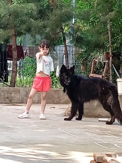 A young girl stands on a concrete surface next to a black, long-haired dog. The girl points her right index finger forward. She wears a white t-shirt and red shorts, with pink socks and white sneakers. The dog wears a black collar. The scene is outdoors, with greenery, including trees and shrubs, in the background. Clothes hang on a line in the background. A wooden ladder and a white container are also visible in the background. Bricks are stacked on the concrete surface near the lower edge of the photo. There is a drawing on the concrete surface. The location is Yukariyuz, Uzbekistan.