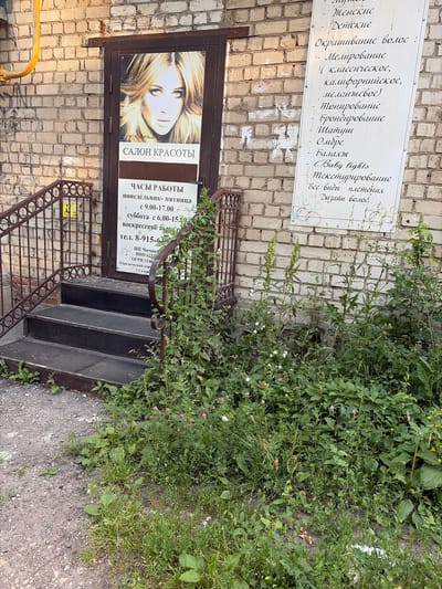 The image depicts the entrance to a beauty salon named "САЛОН КРАСОТЫ" in the city of Skopin, Russia. The entrance features a dark brown door with a large poster of a woman with blonde hair. To the left of the door, there are metal stairs leading up to the entrance, with a metal railing. A yellow pipe runs along the brick wall above the door.

A white sign is affixed to the brick wall to the right of the door, listing various hair services offered, including coloring (highlighting, classic, Californian, melange), toning, bronzing, balayage, ombre, Baby lights, texturizing, and hair design. The sign also indicates the salon's operating hours: Monday to Friday from 9:00 to 17:00 and Saturday from 6:00 to 15:00. A phone number, "тел. 8-915-6", is also visible. Below the phone number, there is information about the salon's legal details, including "ИП Чичикина", "ИНН 623403001138", and "ОГРН 31462340001570". The legal address is stated as "Юридический адрес: Р. Скопин".

The area in front of the salon entrance is overgrown with green plants and weeds, with some small pink and white flowers interspersed. The brick wall of the building is visible and appears weathered.