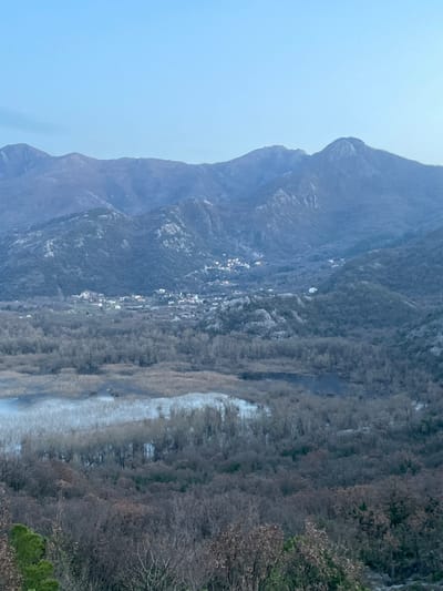This panoramic image depicts a vast, natural landscape within the city of Godinje, Montenegro. The scene is dominated by multiple layers of rugged, grey-blue mountains in the background, their slopes sparsely covered with bare deciduous trees and exposed rock formations, suggesting a winter or early spring season. Below the mountains, in the mid-ground, a small cluster of light-colored buildings, constituting a village, is visible nestled on a lower mountain slope. In front of the village, a wide expanse of water, appearing partially frozen or highly reflective, is surrounded by a dense, grey-brown forest of leafless trees and reeds. The foreground is filled with darker, leafless trees and shrubs, including some evergreen foliage on the bottom left, providing an elevated perspective of the valley. The sky above is clear and light blue, indicative of daylight. No individuals, animals, or specific activities are observable within the frame.