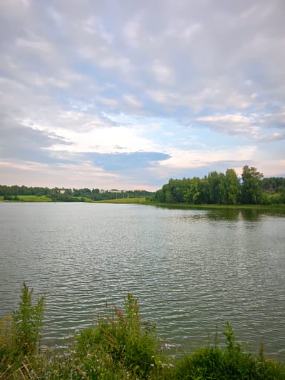 The image depicts a serene lake scene under a cloudy sky. The water is calm, with gentle ripples disturbing its surface, reflecting the muted light of the overcast day. Along the distant shore, a line of lush green trees forms a dense forest, with some interspersed buildings and structures visible behind the foliage. The foreground is lined with verdant grasses and wild flowers, suggesting a natural, undeveloped setting.
There are a few faint human figures visible in the distance on the water, possibly engaged in swimming or boating, though they are too small to discern specific activities. A small wooden structure is partially visible amongst the trees on the right side of the frame.
The time of day appears to be late afternoon or early evening, given the soft, diffused light and the subdued colors. The weather is cloudy, with patches of lighter sky peeking through the cloud cover. The overall mood is peaceful and tranquil, inviting contemplation of nature's quiet beauty. The location is identified as Sinkovo, Russia. No visible text is present in the image.
