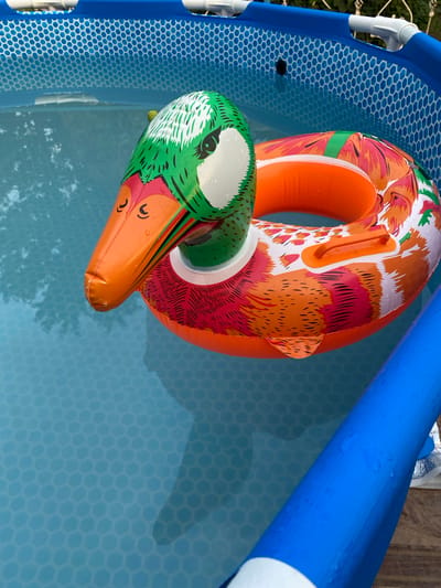 This is a top-down, close-up shot of a blue inflatable kiddie pool filled with clear water. Two inflatable pool toys are partially submerged in the water. One is a large, orange ring float with a colorful, tropical bird design featuring orange, white, and red feathers. The other is a smaller, green inflatable duck toy with orange accents on its beak and red markings on its head, positioned on top of the orange ring. The pool has a blue mesh netting along its edge, and the water has a hexagonal pattern visible on its base. The lighting suggests it is daytime, and the water is calm, indicating fair weather. There is no visible text in the image. The scene appears to be in a backyard or outdoor recreational area.